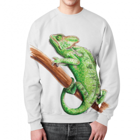 full_print_sweatshirt с принтом Зеленый хамелеон на ветке в Кировске,  |  | Тематика изображения на принте: 