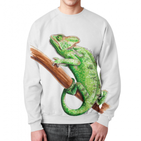 full_print_sweatshirt с принтом Зеленый хамелеон на ветке в Кировске,  |  | 