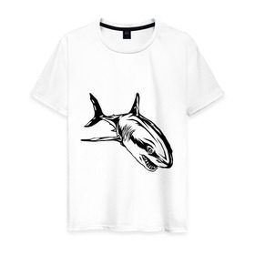 Мужская футболка хлопок с принтом Акула в Кировске, 100% хлопок | прямой крой, круглый вырез горловины, длина до линии бедер, слегка спущенное плечо. | shark | акула | животные | рыба | хищник