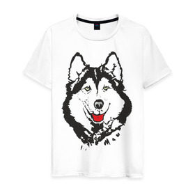 Мужская футболка хлопок с принтом Хаски в Кировске, 100% хлопок | прямой крой, круглый вырез горловины, длина до линии бедер, слегка спущенное плечо. | dog | husky | животные | пес | песики | собака | хаски | хаски бандит