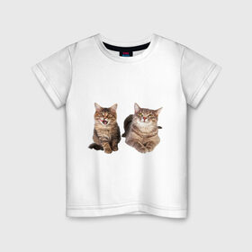 Детская футболка хлопок с принтом Котёнок и кошка в Кировске, 100% хлопок | круглый вырез горловины, полуприлегающий силуэт, длина до линии бедер | Тематика изображения на принте: киса | котенок | котик | кошка