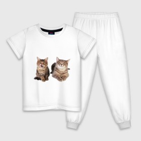 Детская пижама хлопок с принтом Котёнок и кошка в Кировске, 100% хлопок |  брюки и футболка прямого кроя, без карманов, на брюках мягкая резинка на поясе и по низу штанин
 | киса | котенок | котик | кошка