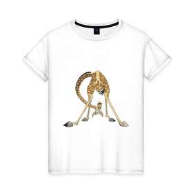 Женская футболка хлопок с принтом Мадагаскар (3) в Кировске, 100% хлопок | прямой крой, круглый вырез горловины, длина до линии бедер, слегка спущенное плечо | madagascar | жираф | мадагаскар