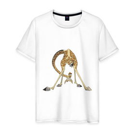 Мужская футболка хлопок с принтом Мадагаскар (3) в Кировске, 100% хлопок | прямой крой, круглый вырез горловины, длина до линии бедер, слегка спущенное плечо. | Тематика изображения на принте: madagascar | жираф | мадагаскар