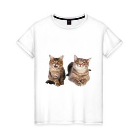 Женская футболка хлопок с принтом Кошка и котёнок в Кировске, 100% хлопок | прямой крой, круглый вырез горловины, длина до линии бедер, слегка спущенное плечо | 