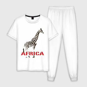 Мужская пижама хлопок с принтом Africa в Кировске, 100% хлопок | брюки и футболка прямого кроя, без карманов, на брюках мягкая резинка на поясе и по низу штанин
 | Тематика изображения на принте: africa | giraffa | safari | африка | животные | жираф | сафари
