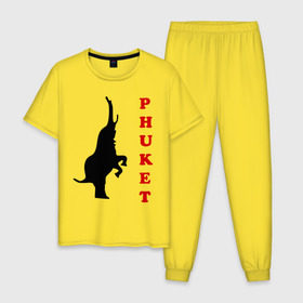 Мужская пижама хлопок с принтом Phuket (5) в Кировске, 100% хлопок | брюки и футболка прямого кроя, без карманов, на брюках мягкая резинка на поясе и по низу штанин
 | Тематика изображения на принте: 