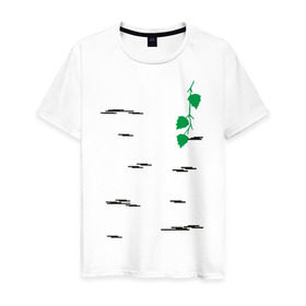 Мужская футболка хлопок с принтом Березка в Кировске, 100% хлопок | прямой крой, круглый вырез горловины, длина до линии бедер, слегка спущенное плечо. | береза | березка | дерево | полоски