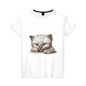 Женская футболка хлопок с принтом Самый милый котёнок в Кировске, 100% хлопок | прямой крой, круглый вырез горловины, длина до линии бедер, слегка спущенное плечо | домашние животные | кот | котенок | котик | коты | кошка | кошки | милый котенок