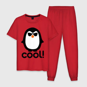 Мужская пижама хлопок с принтом Стильный клевый крутой пингвин в Кировске, 100% хлопок | брюки и футболка прямого кроя, без карманов, на брюках мягкая резинка на поясе и по низу штанин
 | пингвин