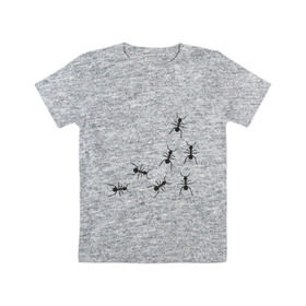 Детская футболка хлопок с принтом муравьи в Кировске, 100% хлопок | круглый вырез горловины, полуприлегающий силуэт, длина до линии бедер | животные | звери | насекомые