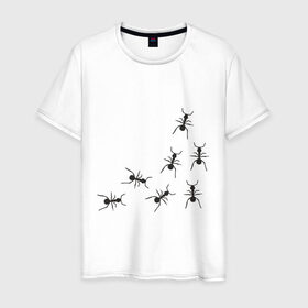 Мужская футболка хлопок с принтом муравьи в Кировске, 100% хлопок | прямой крой, круглый вырез горловины, длина до линии бедер, слегка спущенное плечо. | животные | звери | насекомые