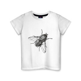 Детская футболка хлопок с принтом Назойливая муха в Кировске, 100% хлопок | круглый вырез горловины, полуприлегающий силуэт, длина до линии бедер | животные | муха | назойливая | назойливая муха | прикольные картинки