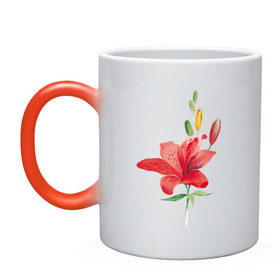 Кружка хамелеон с принтом Red lily в Кировске, керамика | меняет цвет при нагревании, емкость 330 мл | 8 марта | букет | красная лилия | лилия | международный женский день | цветы