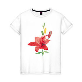 Женская футболка хлопок с принтом Red lily в Кировске, 100% хлопок | прямой крой, круглый вырез горловины, длина до линии бедер, слегка спущенное плечо | 8 марта | букет | красная лилия | лилия | международный женский день | цветы