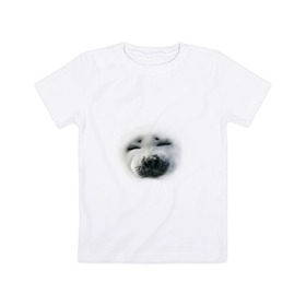 Детская футболка хлопок с принтом Пушистый морской котик в Кировске, 100% хлопок | круглый вырез горловины, полуприлегающий силуэт, длина до линии бедер | животные | звери | мордочка | нос