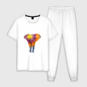 Мужская пижама хлопок с принтом Слон watercolor в Кировске, 100% хлопок | брюки и футболка прямого кроя, без карманов, на брюках мягкая резинка на поясе и по низу штанин
 | слон