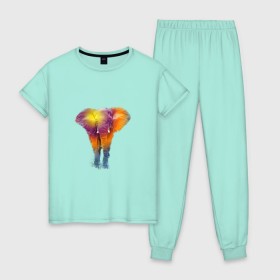 Женская пижама хлопок с принтом Слон watercolor в Кировске, 100% хлопок | брюки и футболка прямого кроя, без карманов, на брюках мягкая резинка на поясе и по низу штанин | слон