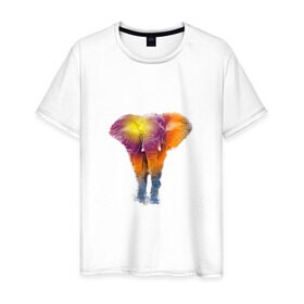 Мужская футболка хлопок с принтом Слон watercolor в Кировске, 100% хлопок | прямой крой, круглый вырез горловины, длина до линии бедер, слегка спущенное плечо. | слон