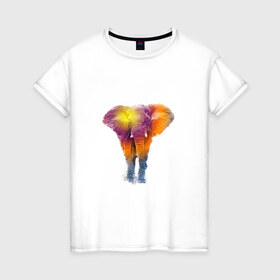 Женская футболка хлопок с принтом Слон watercolor в Кировске, 100% хлопок | прямой крой, круглый вырез горловины, длина до линии бедер, слегка спущенное плечо | слон