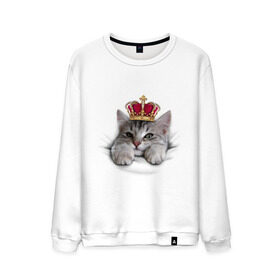 Мужской свитшот хлопок с принтом Pretty kitten в Кировске, 100% хлопок |  | kitten | meow | meow kitten | киса | корона | корона на голове кота | кот | кот с короной | котик | котэ | котяра | кошка | прикольный кот