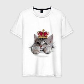 Мужская футболка хлопок с принтом Pretty kitten в Кировске, 100% хлопок | прямой крой, круглый вырез горловины, длина до линии бедер, слегка спущенное плечо. | kitten | meow | meow kitten | киса | корона | корона на голове кота | кот | кот с короной | котик | котэ | котяра | кошка | прикольный кот