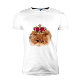 Мужская футболка премиум с принтом Sad cat в Кировске, 92% хлопок, 8% лайкра | приталенный силуэт, круглый вырез ворота, длина до линии бедра, короткий рукав | 