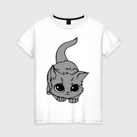 Женская футболка хлопок с принтом Котенок в Кировске, 100% хлопок | прямой крой, круглый вырез горловины, длина до линии бедер, слегка спущенное плечо | домашние животные | кот | коты | кошка | кошки