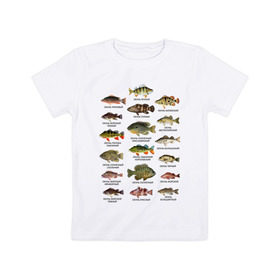 Детская футболка хлопок с принтом Окуни. в Кировске, 100% хлопок | круглый вырез горловины, полуприлегающий силуэт, длина до линии бедер | Тематика изображения на принте: для рыбака | окуни | окунь | подарок рыбаку | рыбаку | рыбалка