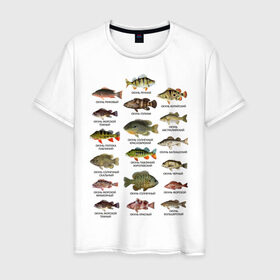 Мужская футболка хлопок с принтом Окуни. в Кировске, 100% хлопок | прямой крой, круглый вырез горловины, длина до линии бедер, слегка спущенное плечо. | для рыбака | окуни | окунь | подарок рыбаку | рыбаку | рыбалка