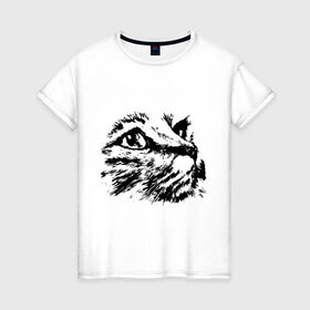 Женская футболка хлопок с принтом Образ кошки в Кировске, 100% хлопок | прямой крой, круглый вырез горловины, длина до линии бедер, слегка спущенное плечо | киса | котенок | кошка