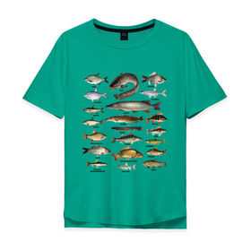 Мужская футболка хлопок Oversize с принтом Популярные виды рыб в Кировске, 100% хлопок | свободный крой, круглый ворот, “спинка” длиннее передней части | рыба | рыбалка | рыбачить | туризм | туристические | туристу | улов