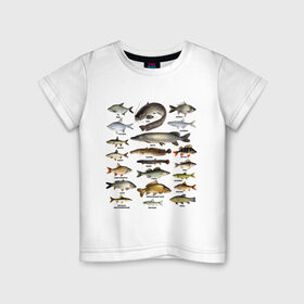 Детская футболка хлопок с принтом Популярные виды рыб в Кировске, 100% хлопок | круглый вырез горловины, полуприлегающий силуэт, длина до линии бедер | рыба | рыбалка | рыбачить | туризм | туристические | туристу | улов