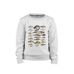Детский свитшот хлопок с принтом Популярные виды рыб в Кировске, 100% хлопок | круглый вырез горловины, эластичные манжеты, пояс и воротник | рыба | рыбалка | рыбачить | туризм | туристические | туристу | улов