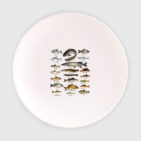 Тарелка 3D с принтом Популярные виды рыб в Кировске, фарфор | диаметр - 210 мм
диаметр для нанесения принта - 120 мм | рыба | рыбалка | рыбачить | туризм | туристические | туристу | улов