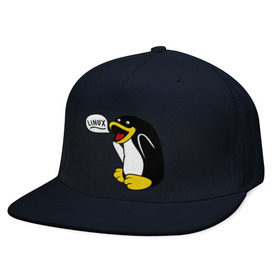 Кепка снепбек с прямым козырьком с принтом Пингвин: Linux в Кировске, хлопок 100% |  | Тематика изображения на принте: пингвин