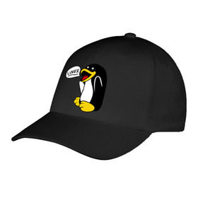 Бейсболка с принтом Пингвин: Linux в Кировске, 100% хлопок | классический козырек, металлическая застежка-регулятор размера | пингвин