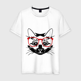 Мужская футболка хлопок с принтом Котэ в Кировске, 100% хлопок | прямой крой, круглый вырез горловины, длина до линии бедер, слегка спущенное плечо. | домашний животные | животные | котэ | кошка в очках | кошки