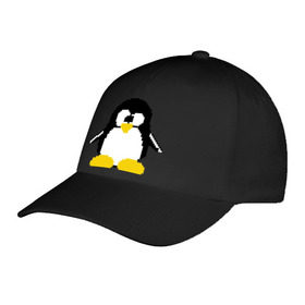 Бейсболка с принтом Битовый пингвин Linux в Кировске, 100% хлопок | классический козырек, металлическая застежка-регулятор размера | Тематика изображения на принте: админам | компьютерные | линукс | операционная система | ос