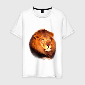 Мужская футболка хлопок с принтом Лев в Кировске, 100% хлопок | прямой крой, круглый вырез горловины, длина до линии бедер, слегка спущенное плечо. | animals | lion | mountain | животные | лев | прикольные картинки