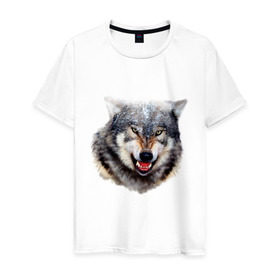 Мужская футболка хлопок с принтом Волк в Кировске, 100% хлопок | прямой крой, круглый вырез горловины, длина до линии бедер, слегка спущенное плечо. | animals | mountain | wolf | волк | животные | прикольные картинки