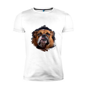 Мужская футболка премиум с принтом Бульдог в Кировске, 92% хлопок, 8% лайкра | приталенный силуэт, круглый вырез ворота, длина до линии бедра, короткий рукав | animals | dog | mountain | бульдог | животные | прикольные картинки | собака