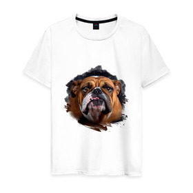 Мужская футболка хлопок с принтом Бульдог в Кировске, 100% хлопок | прямой крой, круглый вырез горловины, длина до линии бедер, слегка спущенное плечо. | animals | dog | mountain | бульдог | животные | прикольные картинки | собака