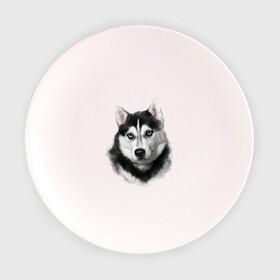 Тарелка 3D с принтом Хаски в Кировске, фарфор | диаметр - 210 мм
диаметр для нанесения принта - 120 мм | Тематика изображения на принте: animals | dog | mountain | животные | прикольные картинки | собака | хаски