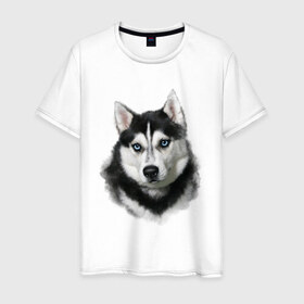 Мужская футболка хлопок с принтом Хаски в Кировске, 100% хлопок | прямой крой, круглый вырез горловины, длина до линии бедер, слегка спущенное плечо. | animals | dog | mountain | животные | прикольные картинки | собака | хаски