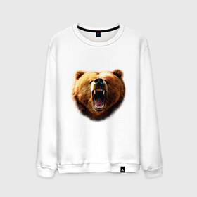 Мужской свитшот хлопок с принтом Медведь в Кировске, 100% хлопок |  | animals | bear | mountain | животные | медведь | прикольные картинки