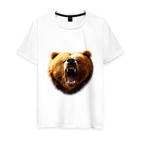 Мужская футболка хлопок с принтом Медведь в Кировске, 100% хлопок | прямой крой, круглый вырез горловины, длина до линии бедер, слегка спущенное плечо. | animals | bear | mountain | животные | медведь | прикольные картинки
