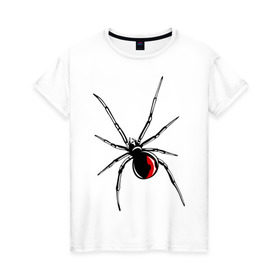 Женская футболка хлопок с принтом Черная вдова в Кировске, 100% хлопок | прямой крой, круглый вырез горловины, длина до линии бедер, слегка спущенное плечо | паук | тарантул | черная вдова | черная вдованасекомые