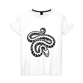 Женская футболка хлопок с принтом Силуэт змеи в Кировске, 100% хлопок | прямой крой, круглый вырез горловины, длина до линии бедер, слегка спущенное плечо | животные | змеиная кожа | змея | прикольные картинки | силуэт змеи