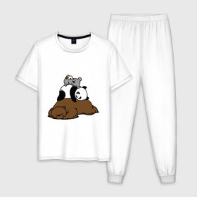Мужская пижама хлопок с принтом comfort bed - комфортный медведь в Кировске, 100% хлопок | брюки и футболка прямого кроя, без карманов, на брюках мягкая резинка на поясе и по низу штанин
 | Тематика изображения на принте: панда